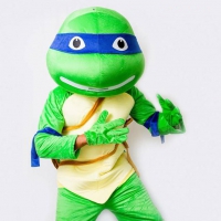 Ninja Turtle